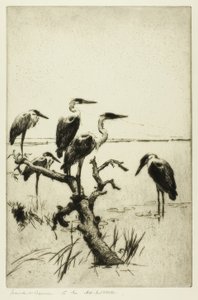 Hérons au repos - Frank Weston Benson