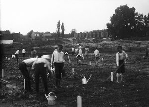 Jardin de terrain vacant - Franklin Davenport Edmunds