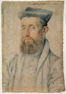Portrait de Mellin de Saint-Gelais, poète français