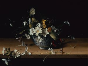 Fleurs dans un bol en porcelaine chinoise bleu et blanc avec un papillon amiral rouge sur un rebord en bois - François Habert