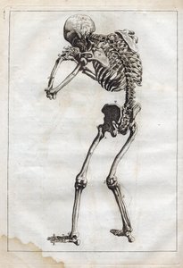Gravure dans 