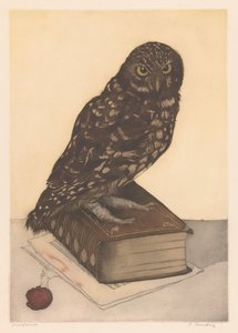 Hibou assis sur un livre - Frans Everbag (signed by artist)