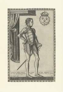 Portrait du roi Charles IX de France 1550-1574, années 1560 - Frans Huys