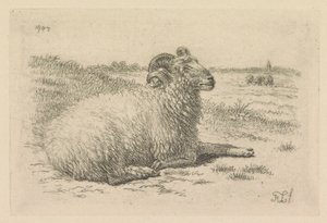 Bélier couché dans une prairie - Frans Lebret