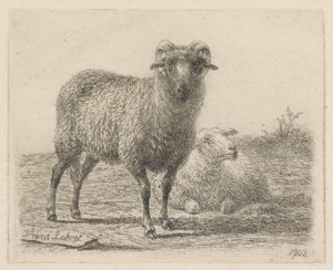 Bélier et mouton