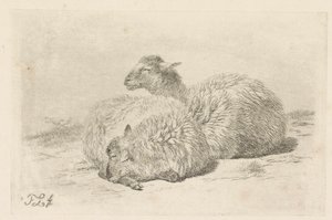 Deux moutons couchés - Frans Lebret