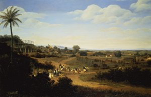 Vue panoramique au Brésil