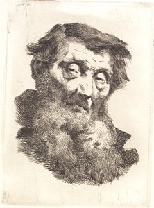 Vieil homme avec barbe grise divisée - Frans Schwartz