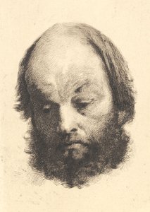 Homme à la barbe noire, Garibaldi