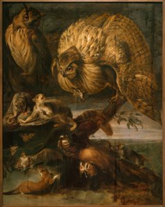 Animaux de la nuit