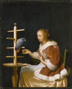 Jeune femme nourrissant un perroquet - Frans van Mieris the Elder