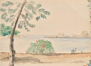 Côte en Floride (?) - Franz Barwig d. Ä.