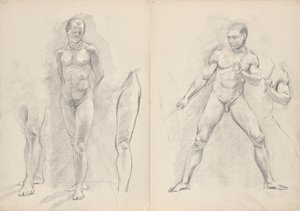 Nus masculins