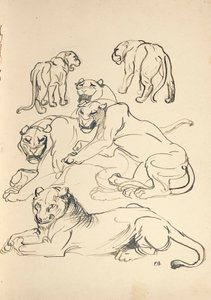 Six pumas - Franz Barwig d. Ä.