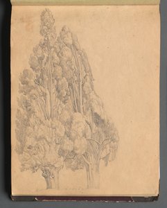 Album avec des vues de Rome et des environs, études de paysage, page 13a : Arbres - Franz Johann Heinrich Nadorp
