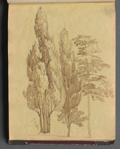 Album avec des vues de Rome et des environs, études de paysage, page 15a : Arbres - Franz Johann Heinrich Nadorp
