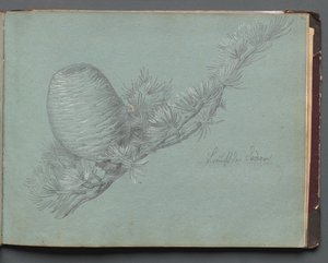 Album avec des vues de Rome et des environs, études de paysage, page 49a : Étude d