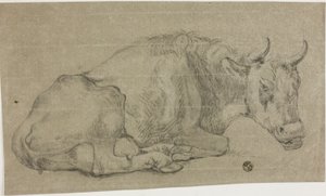 Vache