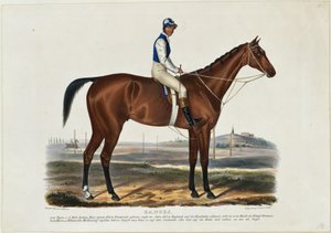 Gange - Franz Krüger