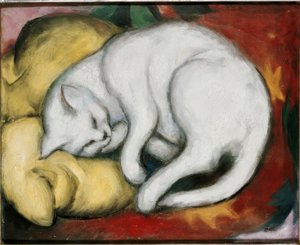 Le chat blanc