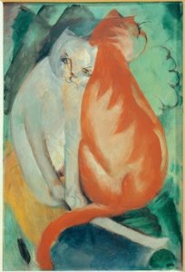 Chats, rouge et blanc