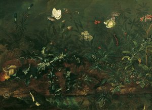 Morceau de pelouse avec chardon, grenouilles et libellule