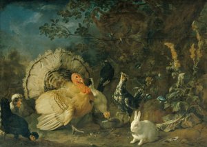 Volaille et lapins