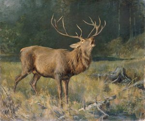 Cerf en rut - Franz Xaver von Pausinger