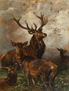 Cerf et biches - Franz Xaver von Pausinger