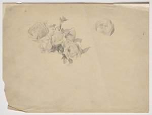 Étude de roses - Franz von Matsch