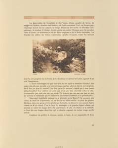 Solos. Châtaigniers en fleurs - Frédéric Boissonnas