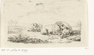 Trois moutons couchés dans l