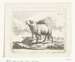 Deux moutons debout - Frédéric Théodore Faber