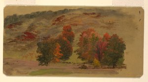 Paysage d