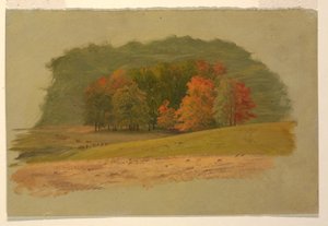 Paysage d