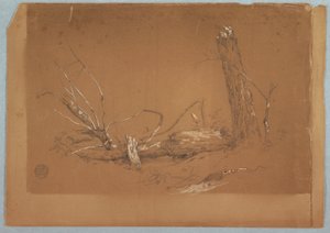 Dessin, Un arbre mort cassé, 1855-65 - Frederic Edwin Church