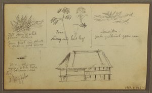Dessin, un fort ; au verso : croquis botaniques, maison, 1857 - Frederic Edwin Church