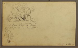 Dessin, Une hutte sur des poteaux, Guayaquil, Équateur, mai 1857 - Frederic Edwin Church