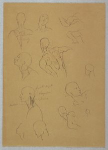 Dessin, études anatomiques, 1865-70