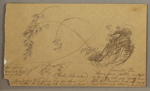 Dessin, brindilles de bambou, peut-être 1865-66 - Frederic Edwin Church