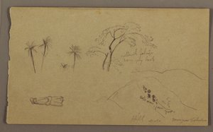 Dessin, croquis botaniques, figure, mai-août 1865