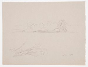 Dessin, croquis botaniques : paysage, arbres sur un rivage, septembre 1876 - Frederic Edwin Church