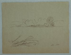 Dessin, croquis botaniques : paysage, arbres sur un rivage, septembre 1876 - Frederic Edwin Church