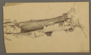 Dessin, section inférieure d