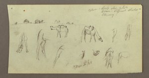 Dessin, études sur les chameaux, 2 mars 1868 - Frederic Edwin Church