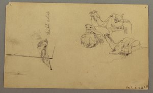 Dessin, Chameaux s