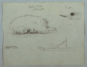 Dessin, arbre Ceiba à Mompos, canoë Champan, arbres et bateau partiel, Rio Magdelena, Colombie, 1853, probablement mai