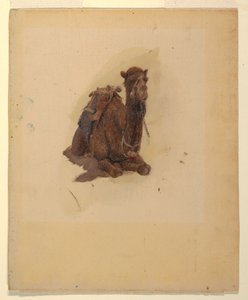 Dessin, dromadaire accroupi, 1868