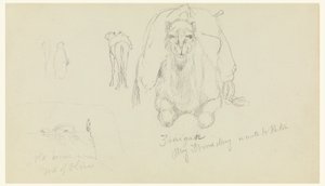 Dessin, dromadaire ; vieille maison sur M, février 1868 - Frederic Edwin Church