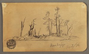 Dessin, île, 1878 - Frederic Edwin Church